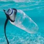 Il mare è una zuppa di plastica: tutti i problemi dell’inquinamento marino raccontati in un libro
