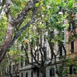 Ritrovare Carlo Emilio Gadda per ritrovare Roma